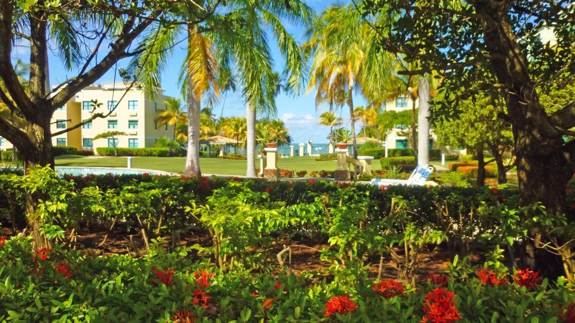 Sandy Cove ริโอกรันเด ภายนอก รูปภาพ